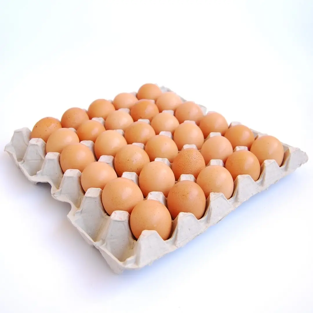 Best Quality Fresh Brown Table Chicken Eggs At Cheap Price