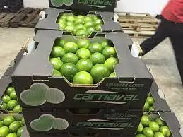 Special Item Lime Without Seed Keep Cool Or Refrigerated Green And Pale Yellow Organic Packed In Box Made In Vietnam