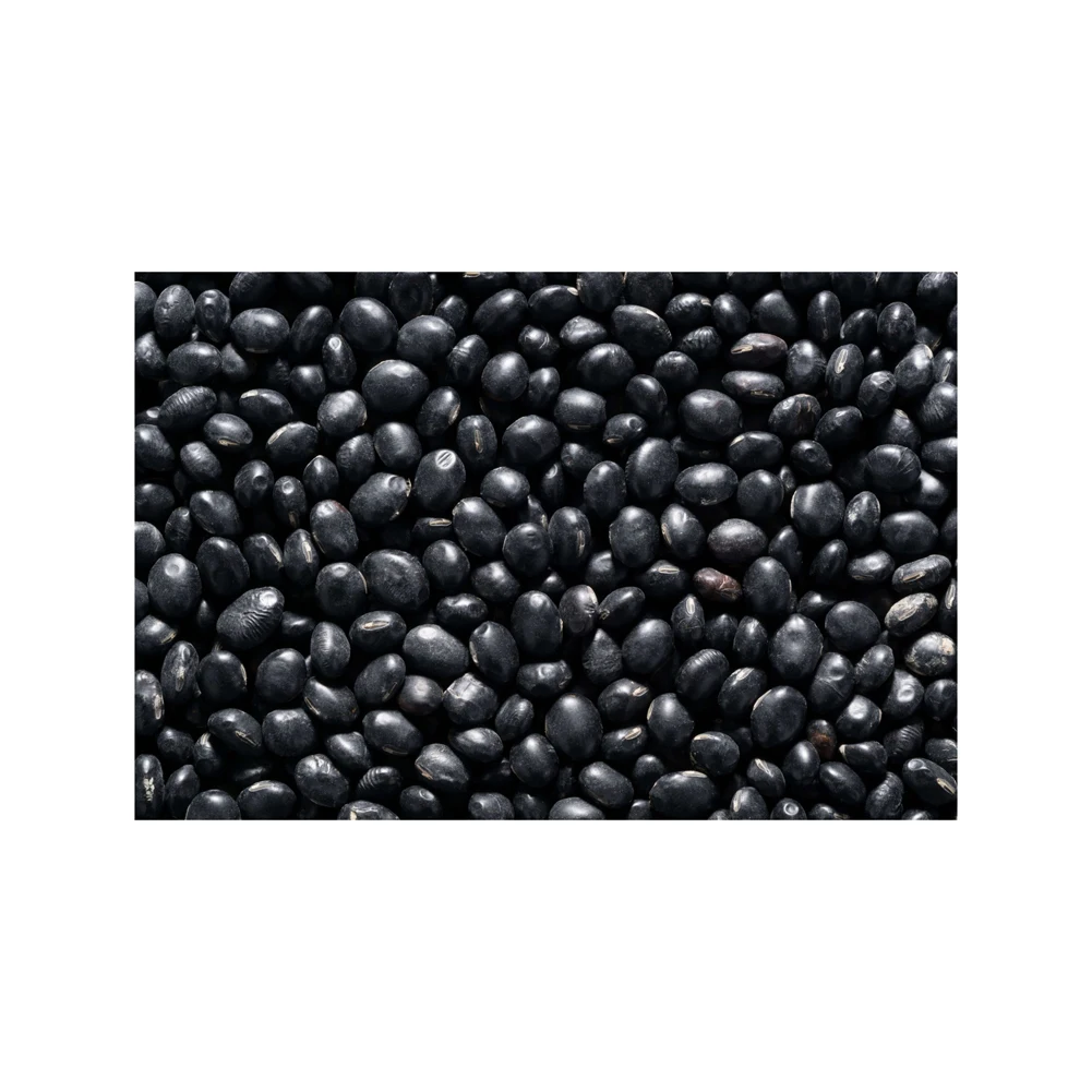 High Quality Healthy Care Black Kidney Beans For Sale Best Quality Long Shape Dark Black Kidney Bean
