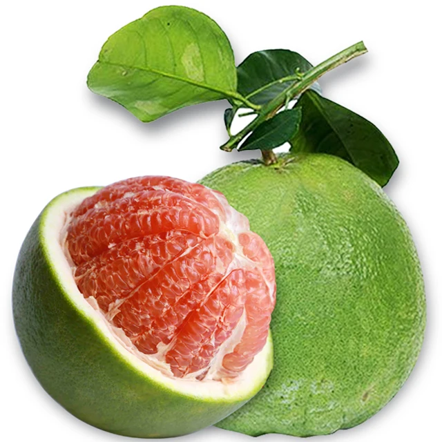 High Quality Fresh Pomelo Exotic Citrus Fruit Direct from Vietnam Whole Sale with Competitive Price