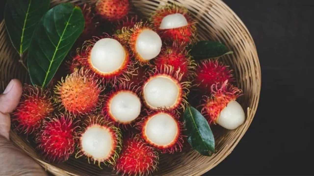 BEST SELLER TROPICAL FRUIT 2022 - WHOLE FRESH RAMBUTAN VIET NAM COMPETITIVE PRICE FLAVOR SWEET NATURAL // MS.DAISY