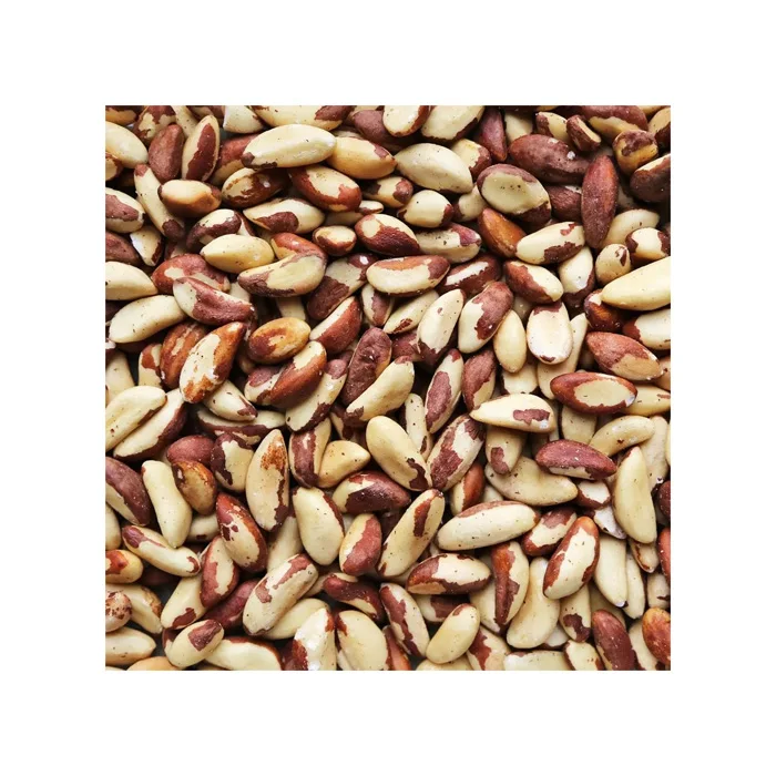 Brazil Nuts Natural Raw Nuts Shelled Mix with Medium Large and Extra Large Sizes Roasted Nuts Edible