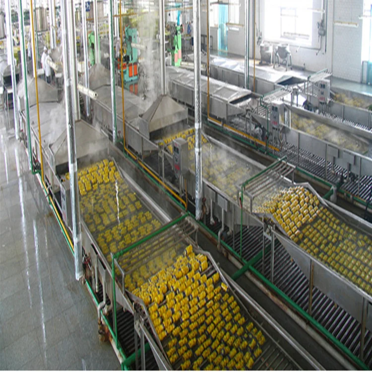 Top quality canned peach in syrup processing plant / peach canning line