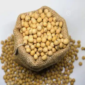 Organic Dried Yellow Soybeans and Soya Beans for sale