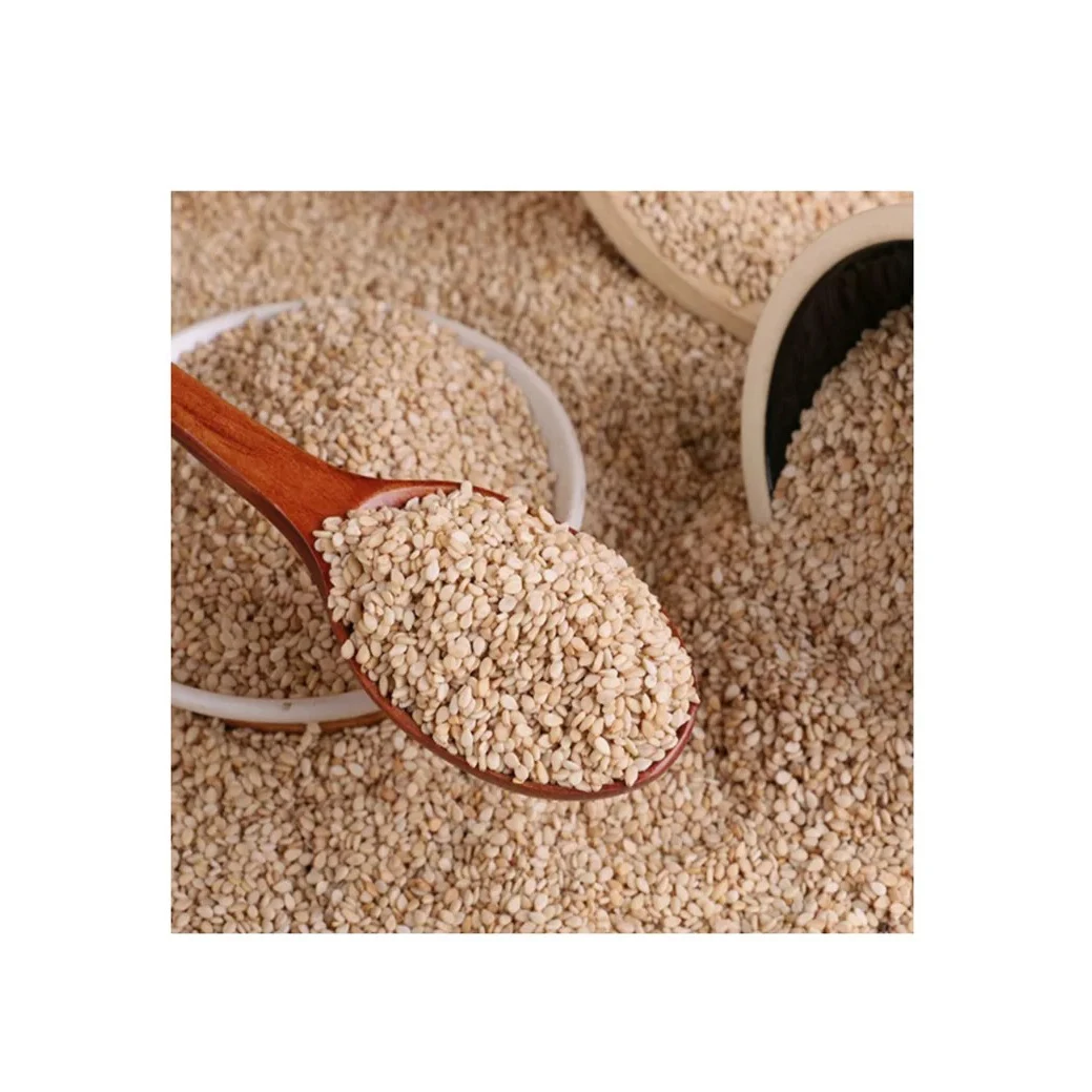 Trustworthy Supplier and best discounts Sesame Seeds organic black sesame seeds