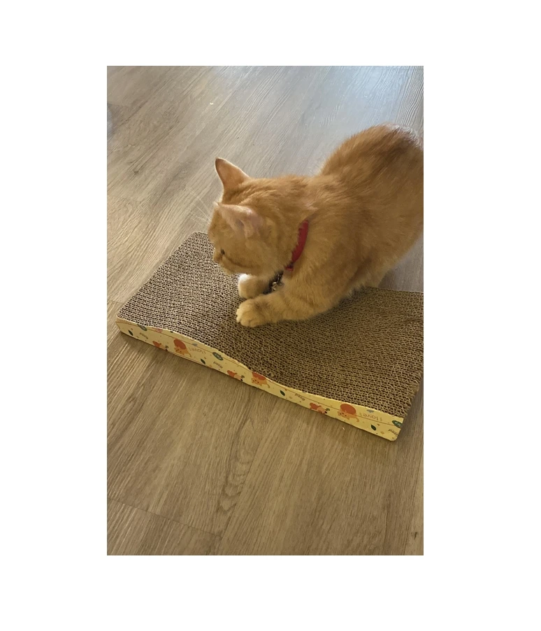 Sale Price OEM Brand Export Paper Cat Scratcher Cat Scratching Sleeping Playing Customized Color Multi Size in Vietnam Ms. Jenny