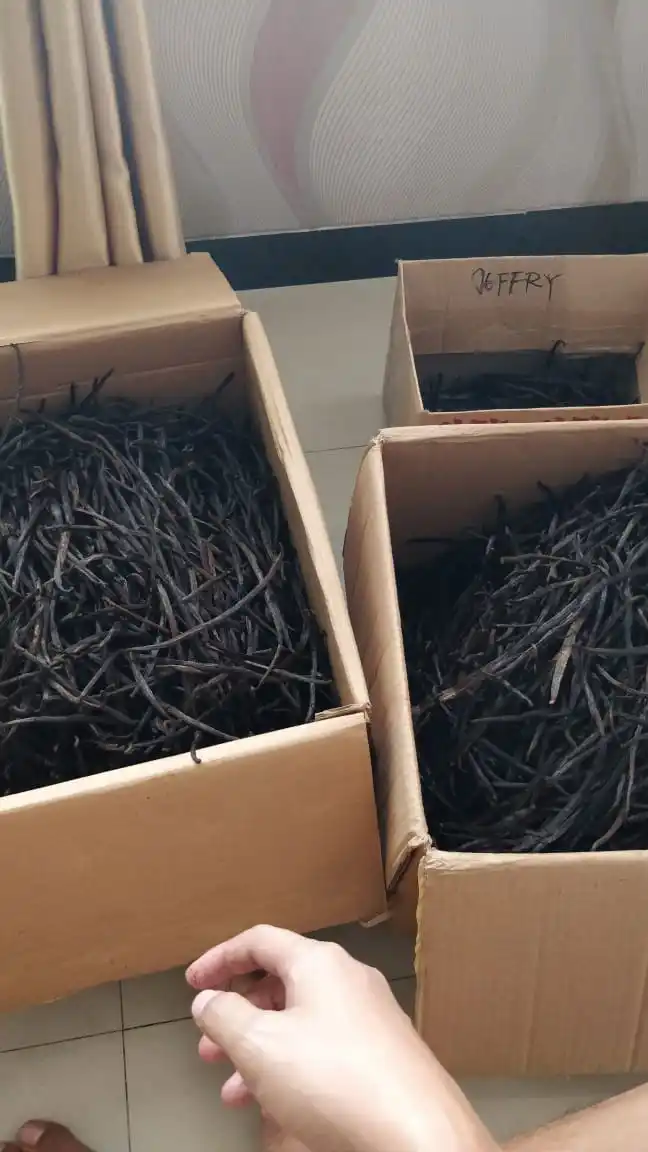 Vanilla tahiti or planifolia Grade 1