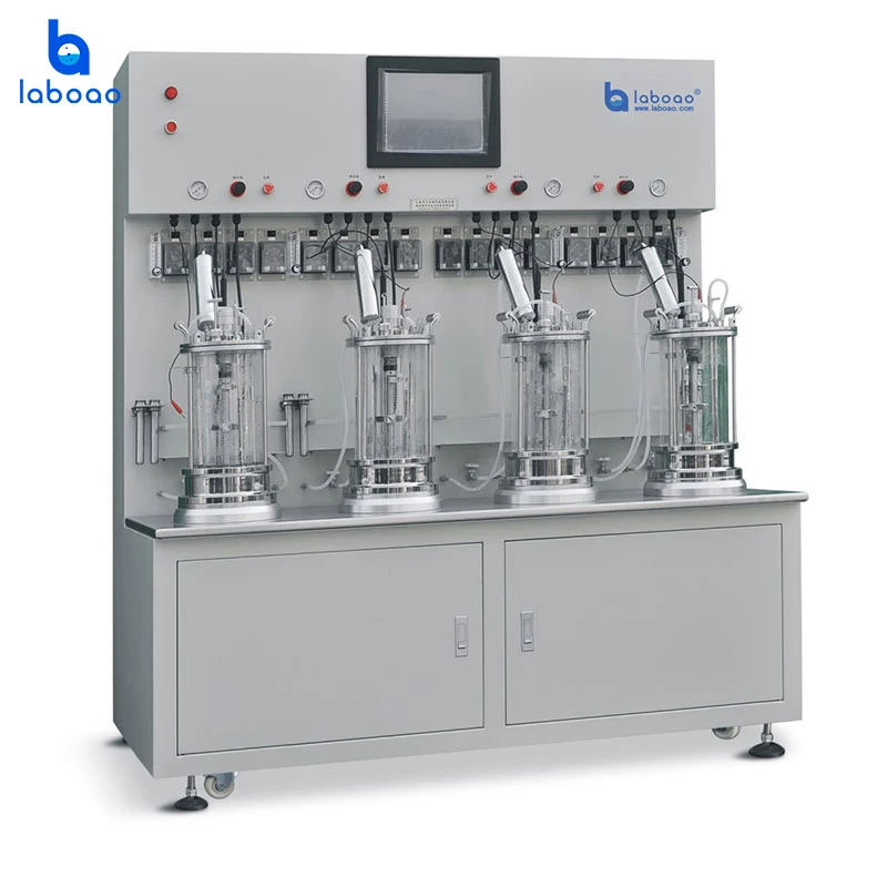Laboao Microorganisms Vaccine Bioreactor Laboratory Fermentor