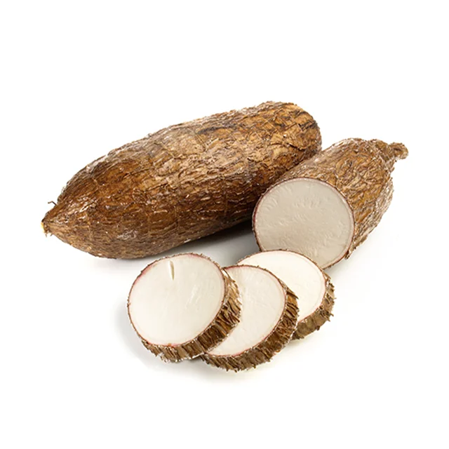 High Quality Vietnamese Tapioca from Nature helps to nourish the body and make snacks