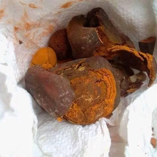 Ox Gallstones, Cattle Gallstones, Cow Gallstones with Good Prices
