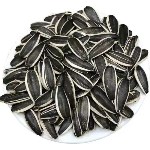 361 601 363 Big Raw Sunflower Seeds Price Striped Giant Sunflower Seeds For Sale In China Sunflower Seed