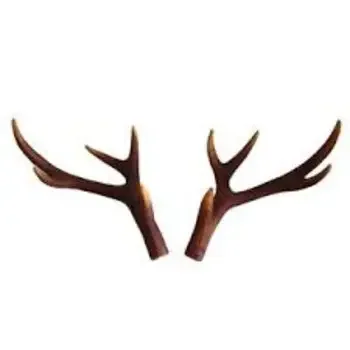 Red Deer Antlers
