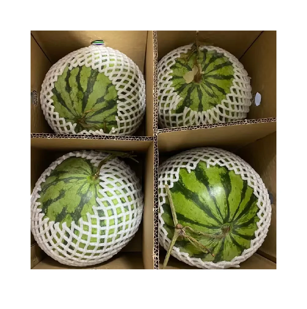 Vietnam Origin Exporter of Excellent Quality 100% Natural Delicious Taste Seedless Watermelon good price  +84984418844