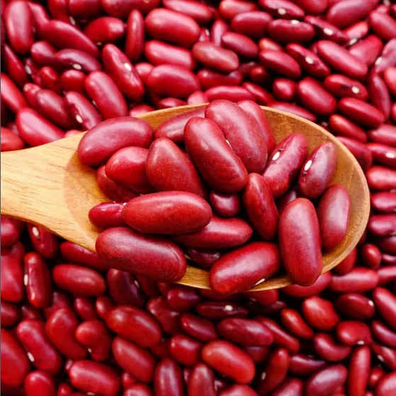 Polished Organic Non-GMO Dark Red Kidney Beans rice and beans red kidney bean