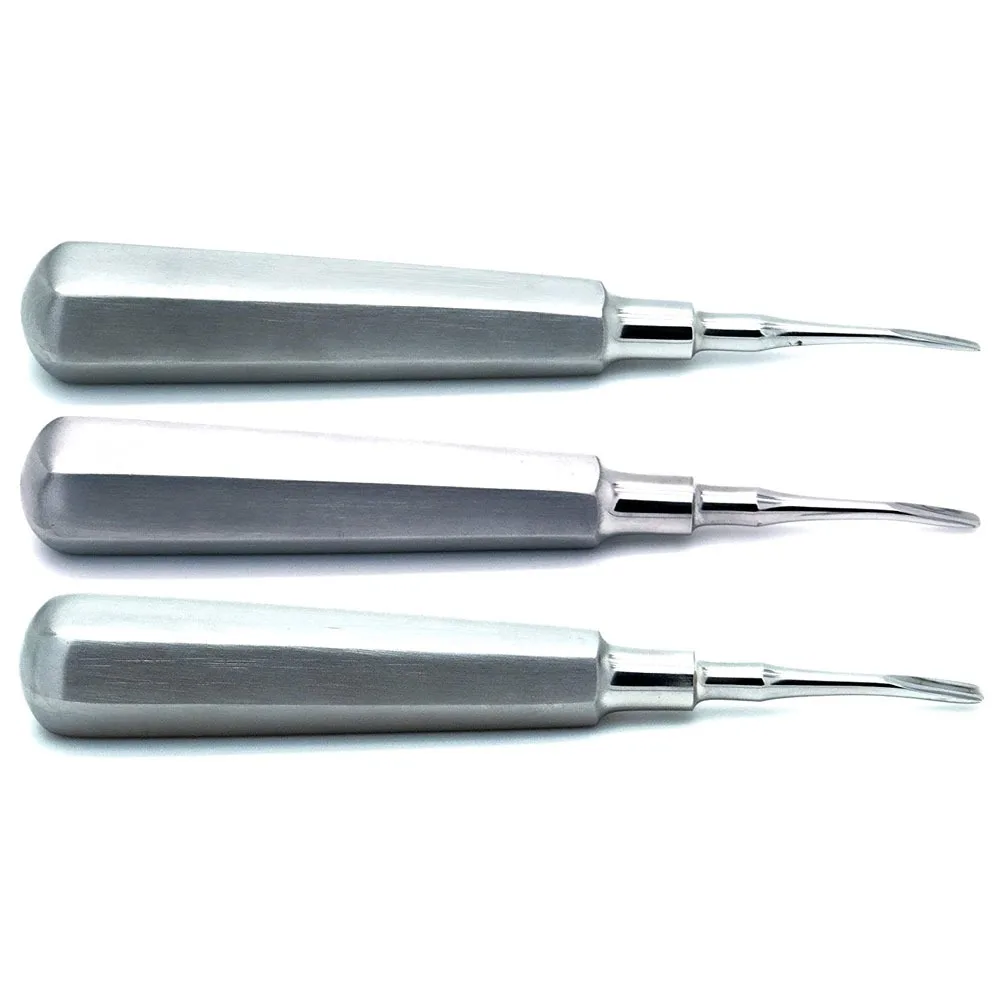 Top Trending 2023 Cross Bar Dental Winter Root Elevator Both Side Blade Professional Dentist Instruments