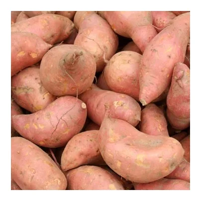 Best Quality Hot Sale Price Fresh Vegetables Sweet Potatoes