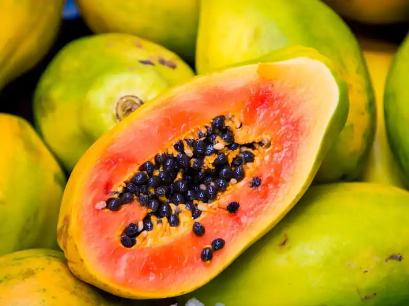 Cheapest price - FROZEN PAPAYA TROPICAL FRUIT - Natural Sweet from MEKONG DELTA VIETNAM