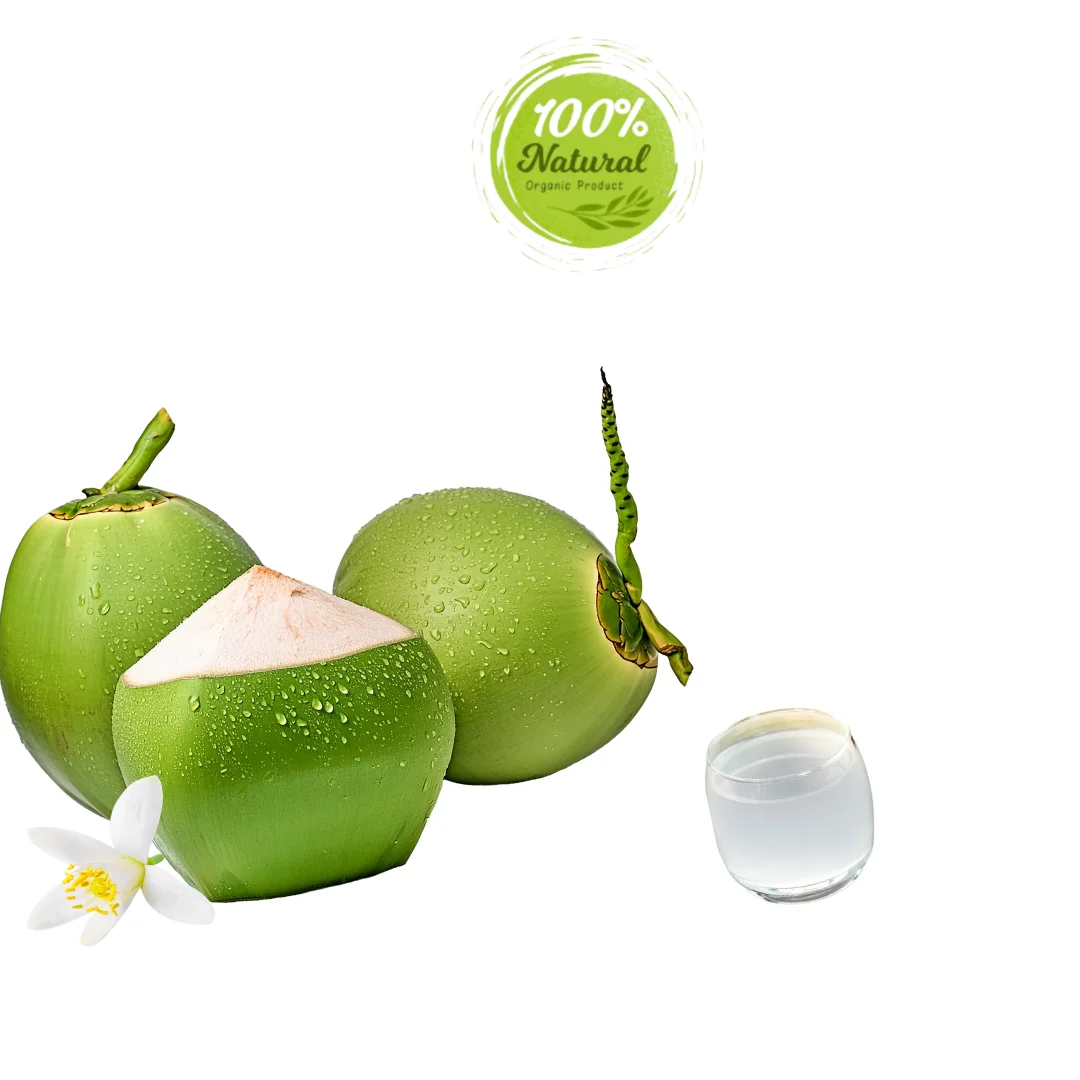 Vietnamese Fresh Coconut - Purity in Every Drop