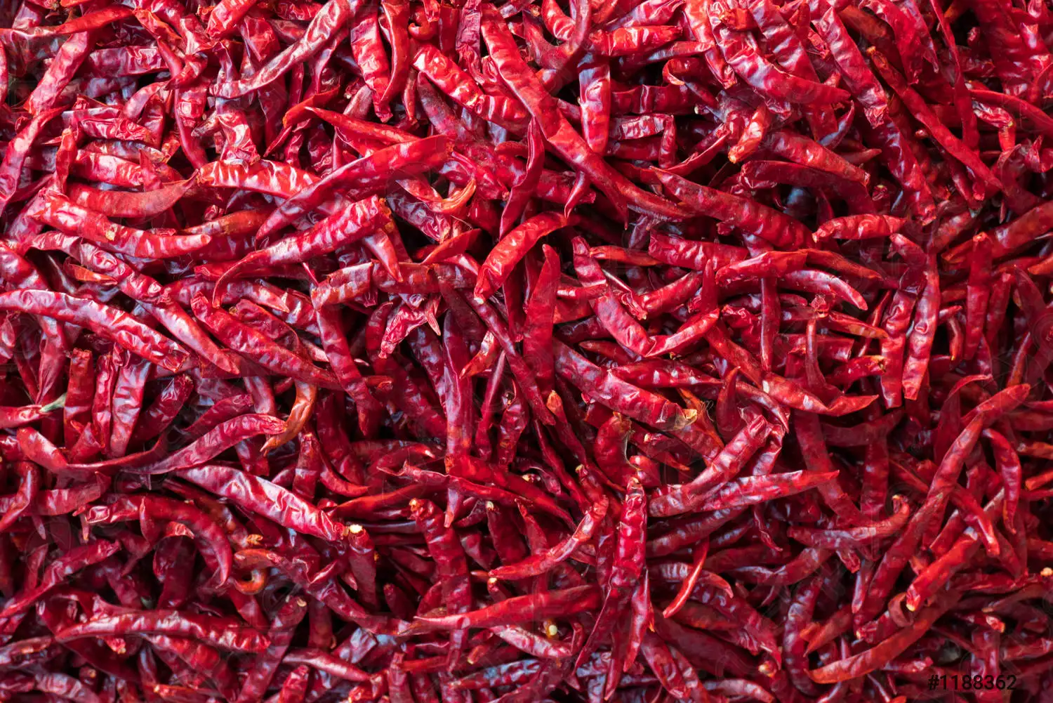 Wholesale Nature Herbs and Spice Red Dried Chili