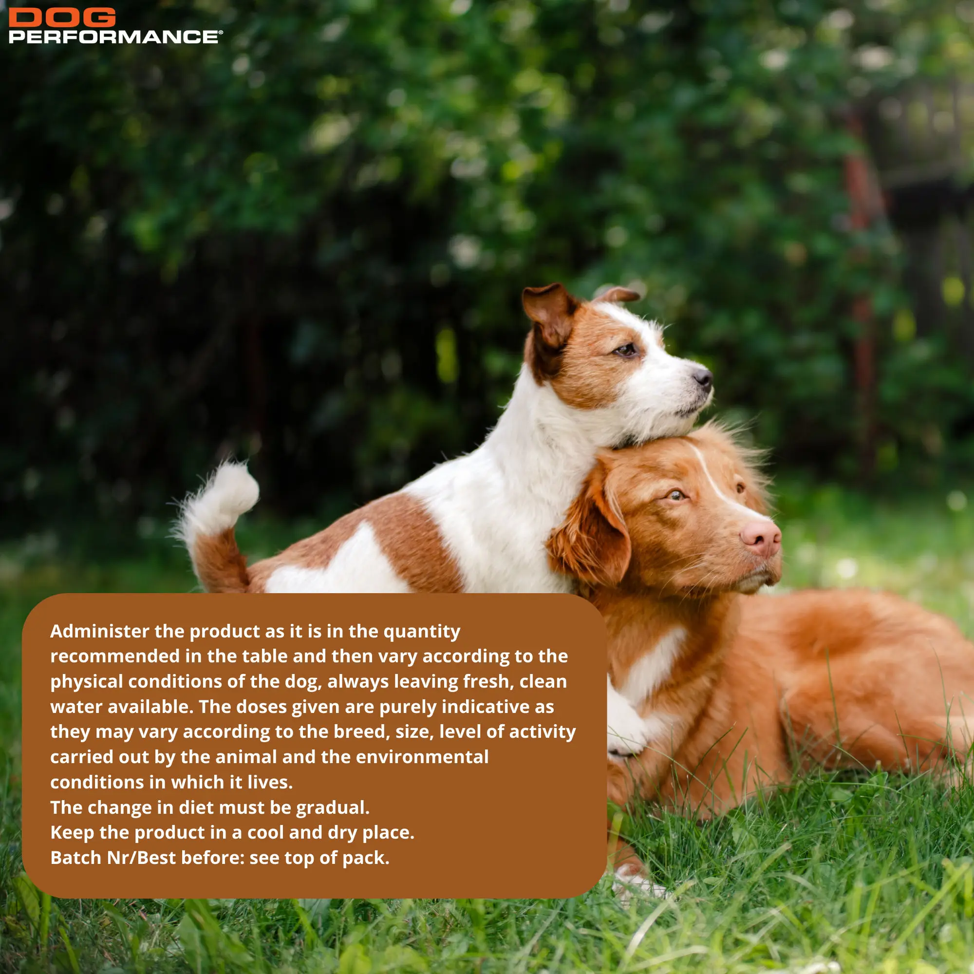 Корм для собак Премиум-класса вдохновленный природой-взрослый олень и картофель 15 кг-деревенский вкус восхитительной еды