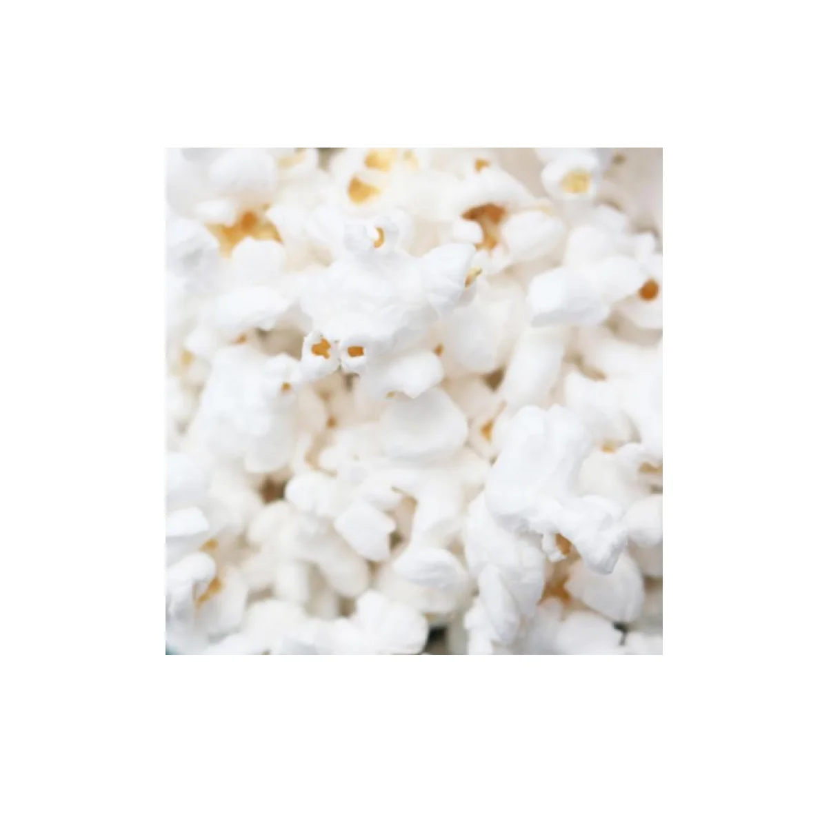 New Popcorn Kernel for sale / Butterfly Popcorn and cheap price best quality Mushroom Popcorn Kernels for sale