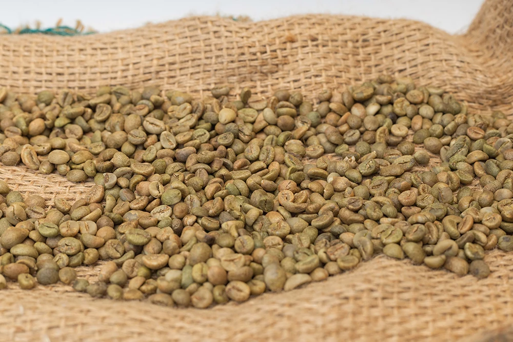 Premium Quality Roasted Arabica Coffee Beans Super Quality for sale Green Coffee Bean