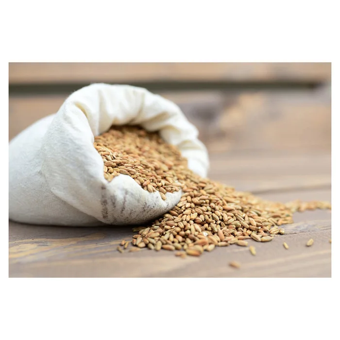 Whole-grain wheat cereal wheat grain for human consumption