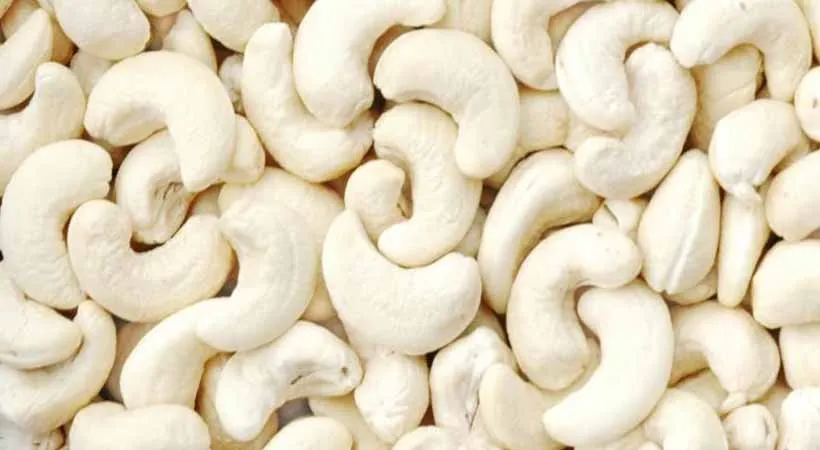 Cashew nut w320 price w320 cashew single spices  Raw Cashew Nuts Prices Offered Dried Fruits Nuts