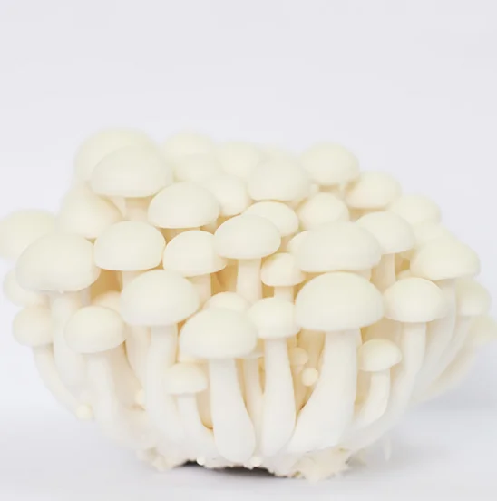 Frozen Food Healthy Food Frozen Shiitake Mushroom