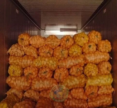 New 2022 Style Time GLOBAL Organic GAP Weight Origin Type Shandong Shape Potato Size Year Supply Product Fresh Place Model HACCP