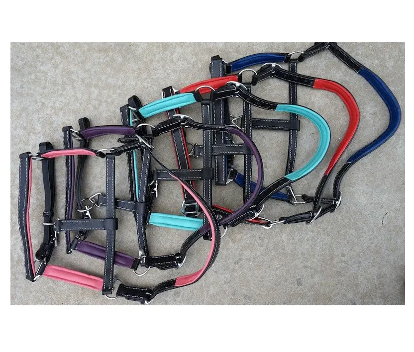 High Quality Hand Tooled Leather Track Show Halter-Nickle Plated XLg Full Horse Cob Many Sizes At Wholesale Manufacture