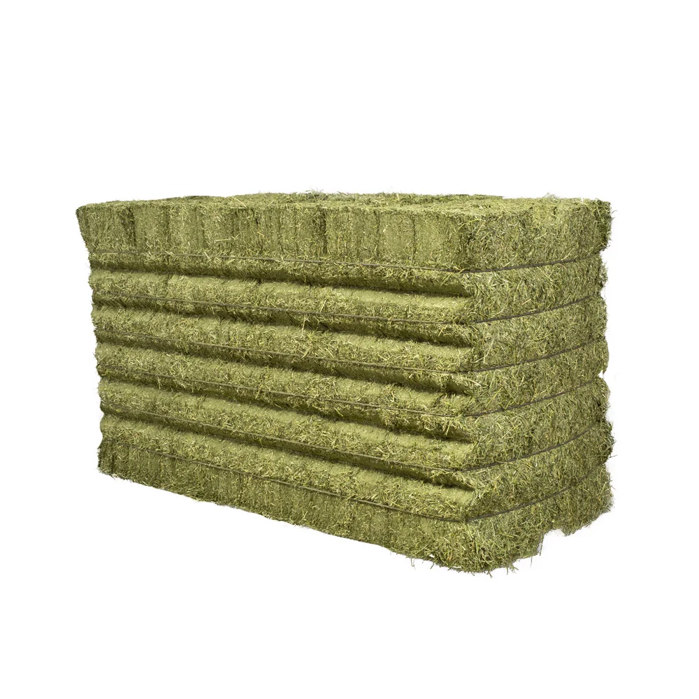 Alfafa Hay Animal Feeding Stuff Alfalfa, hay/alfalfa hay pellets Timothy Hay/ Alfafa in Bales Best Super Top Quality