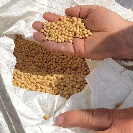 High Quality Premium Natural and Non- GMO Yellow Soybean Seeds / Soya Bean /Soy Beans Discount Price