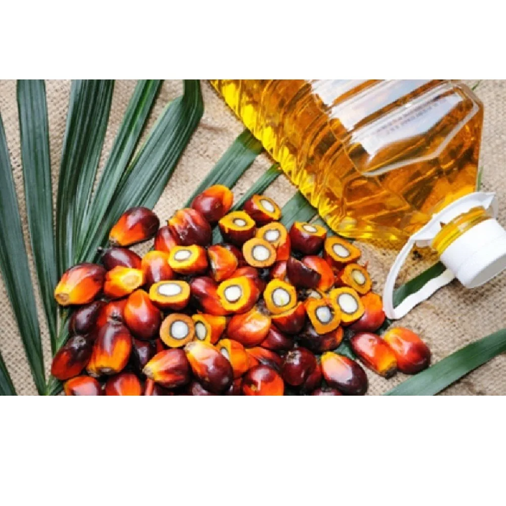 Looking for Companies Needing Palm Oil Refined Cooking Oil Machine Top Wood Motor Packaging Automatic Frying Natural Healthy