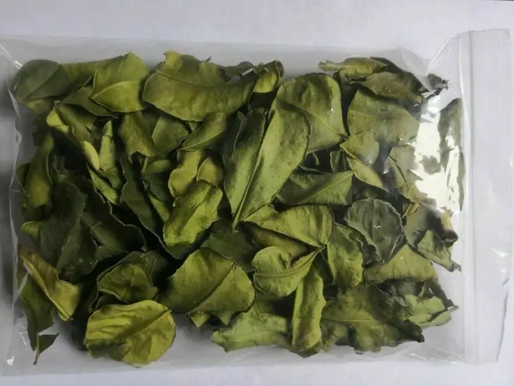 Dried lemon leaves competitive price made in Vietnam / holiday