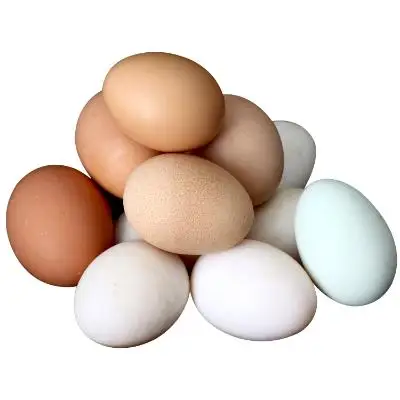 100% натуральный продукт фермы свежие куриные столовые яйца/коричневый и белый