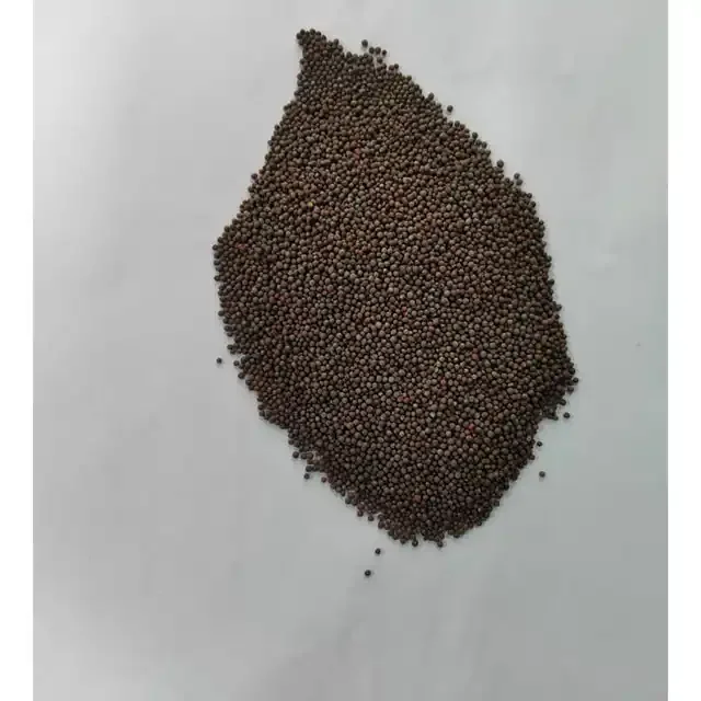 Hot selling canola seed product of Kazakhstan bulk selling rapeseed