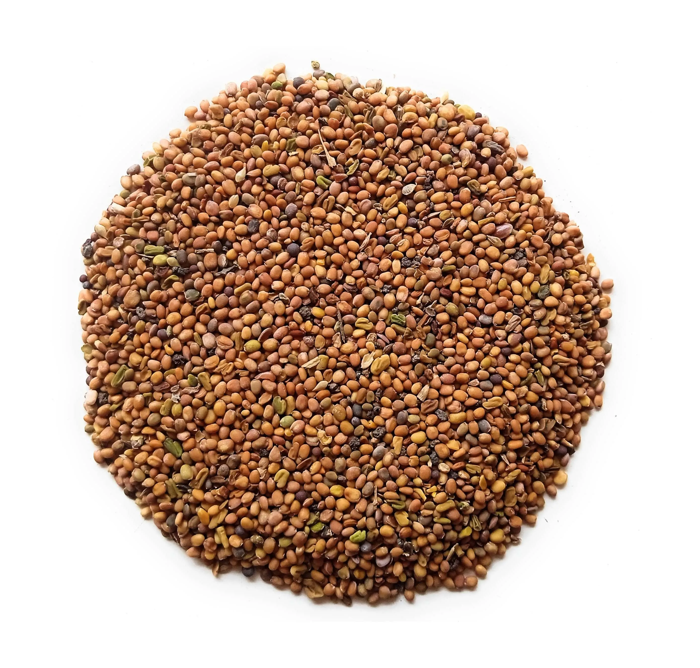 Canary Seeds Price /Canary seeds for birds Inner Mongolia fried melon seeds daily birds best selling for sale