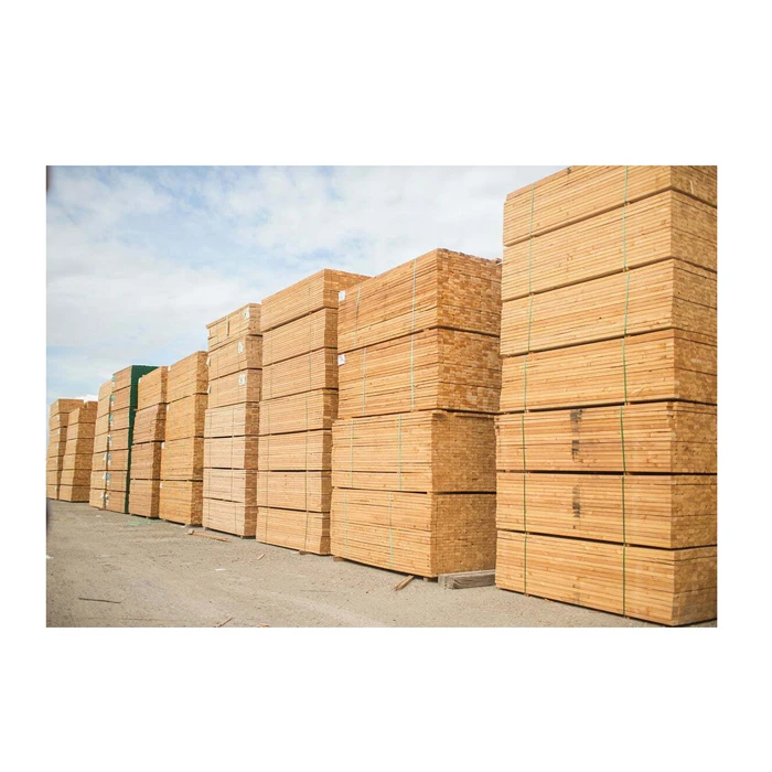 Pressure-treated lumber For Construction Birch Wood Lumber/TIMBER WOOD