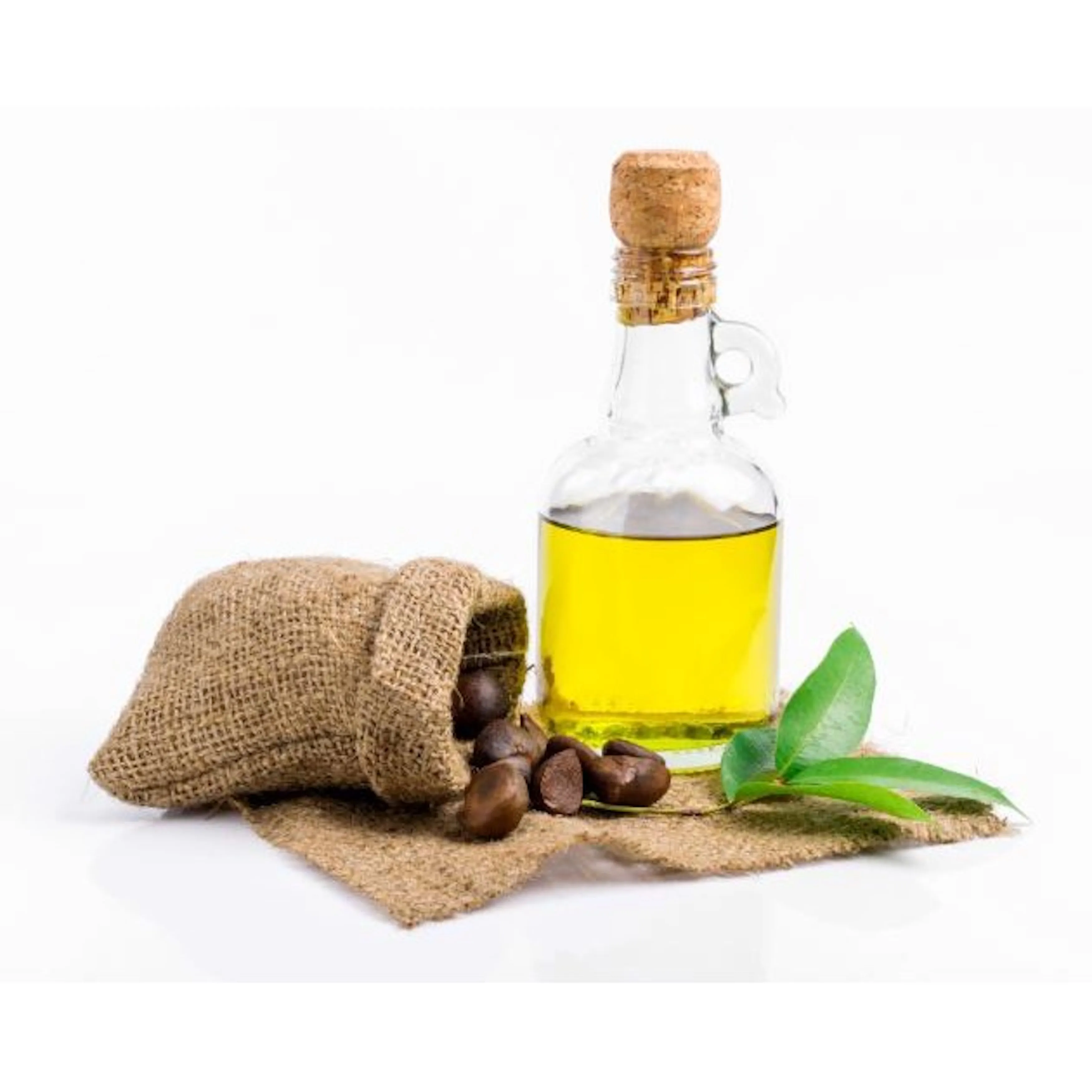 Top Quality Camellia Organic Oil wholesales