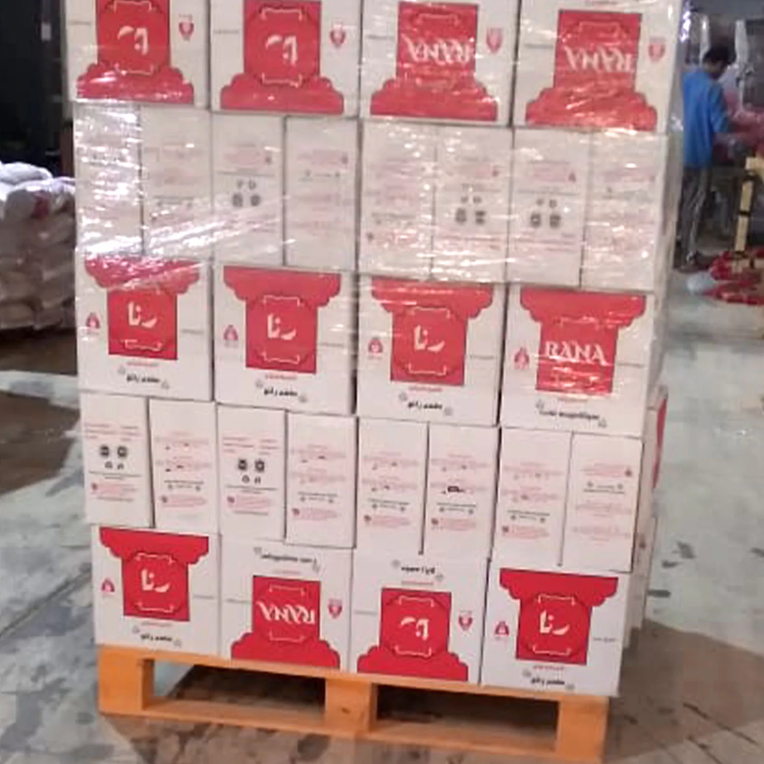 Rana Egyptian спагетти (500 г) оптовая продажа макаронных изделий с низким moq для новых покупателей опция предложений OEM