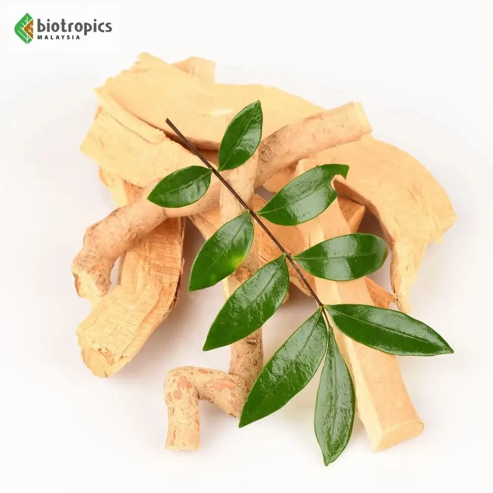 Buy Wholesale Bulk 100% Tongkat Ali Extract Capsules Competitive Price High Quality Male Health Supplement