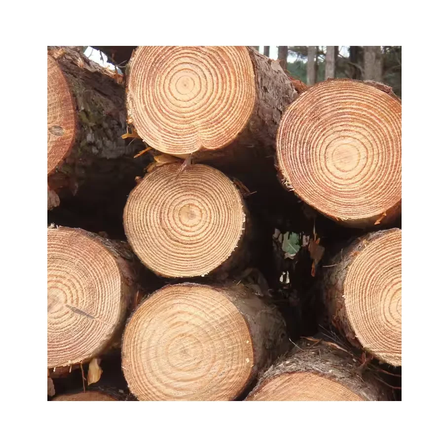 Best Price Spruce Round Logs Bulk Buy