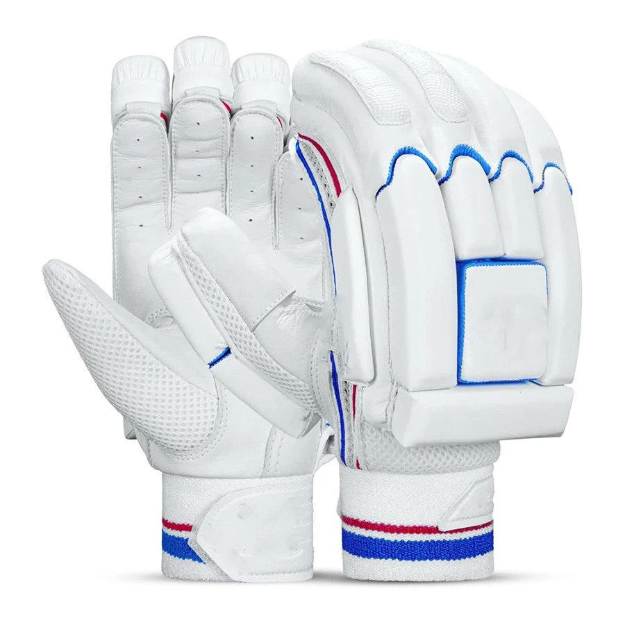 Sports Wear Cricket Training Gloves Made With Leather Cricket Gear Batting Gloves