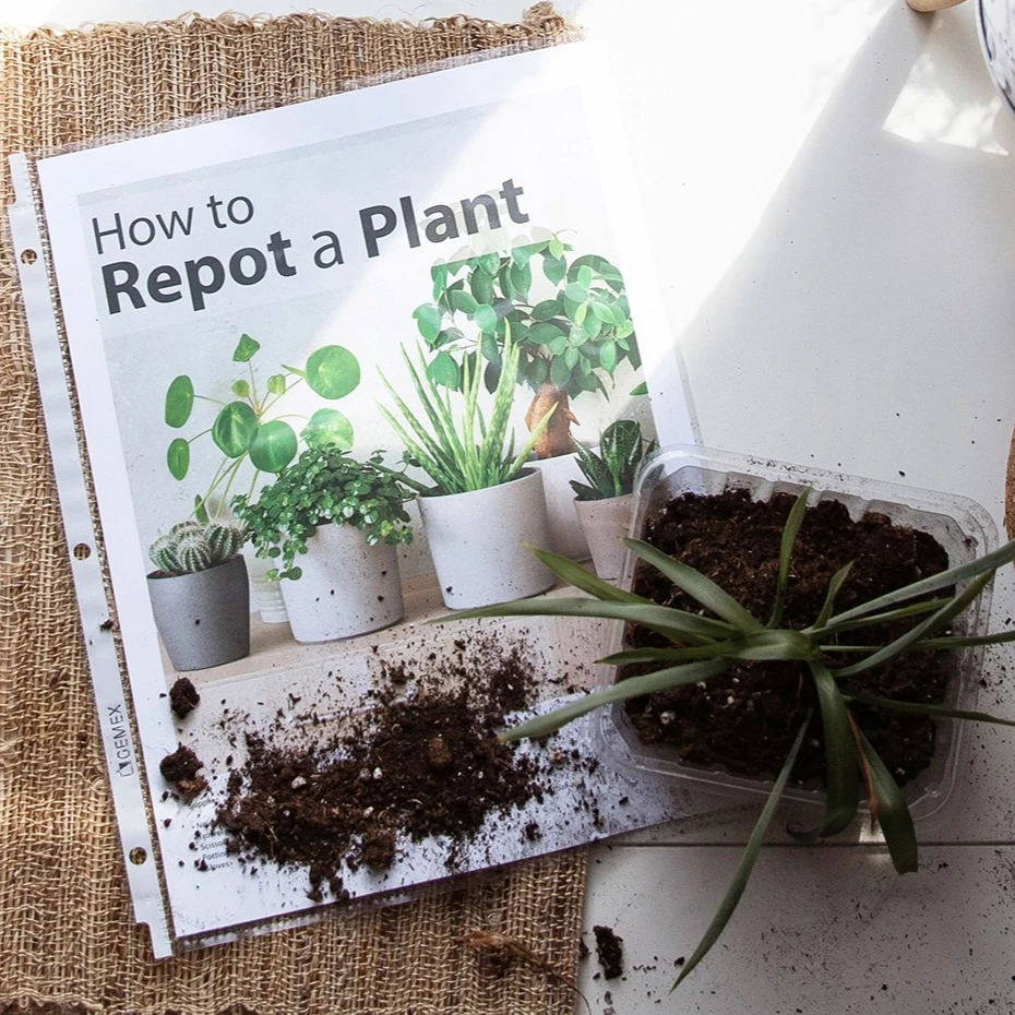 Stationery and Office Use Waterproof Acid Free Non Glare Standard Weight Letter Size Sheet Protector for Bulk Supply