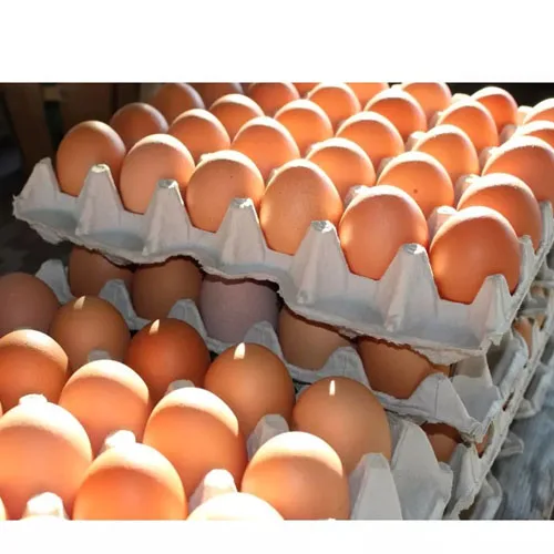 Оптовая продажа свежих белых куриных