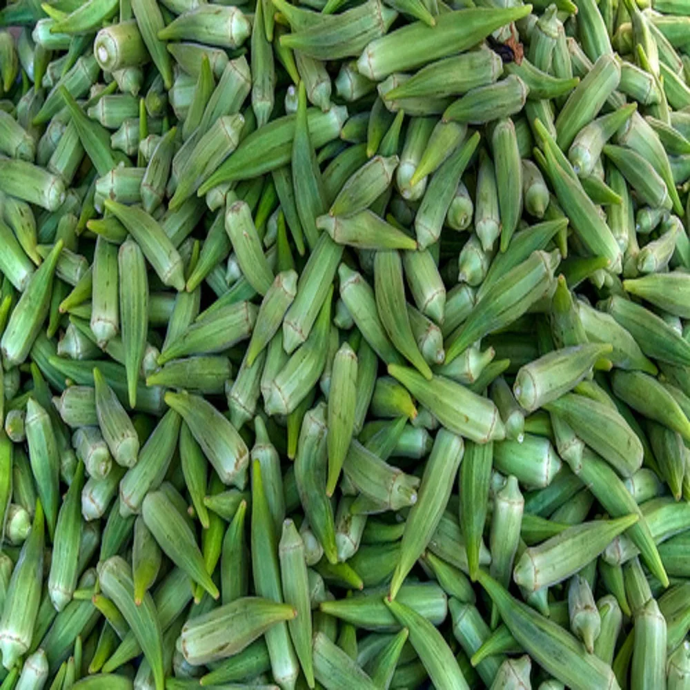 Свежие и натуральные овощи Okra