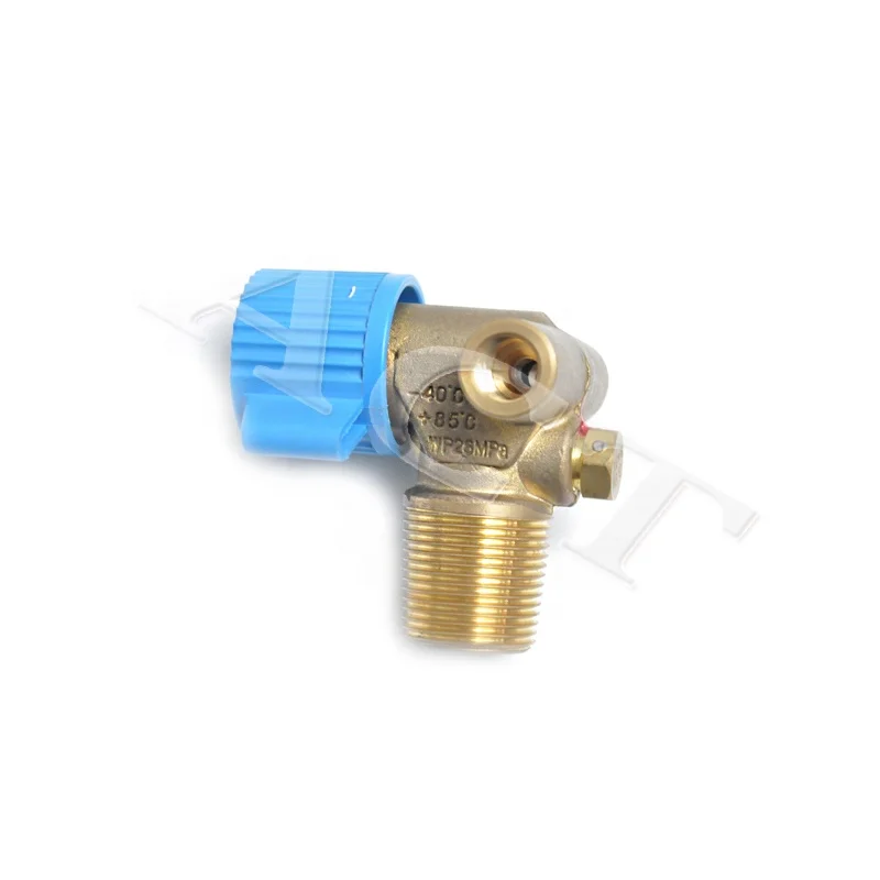 ACT cng tank cylinder valve gnv gnc cylinder valve for cng gas control autogas convert system other equipment