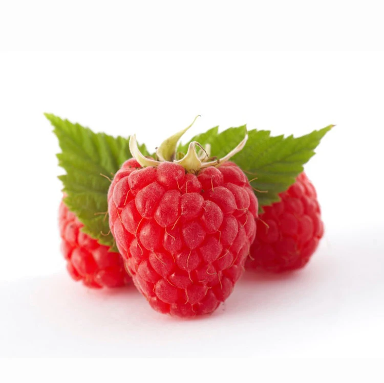 BRC Halal Haccp organic fresh IQF Frozen Red Raspberry Quality Raspberries