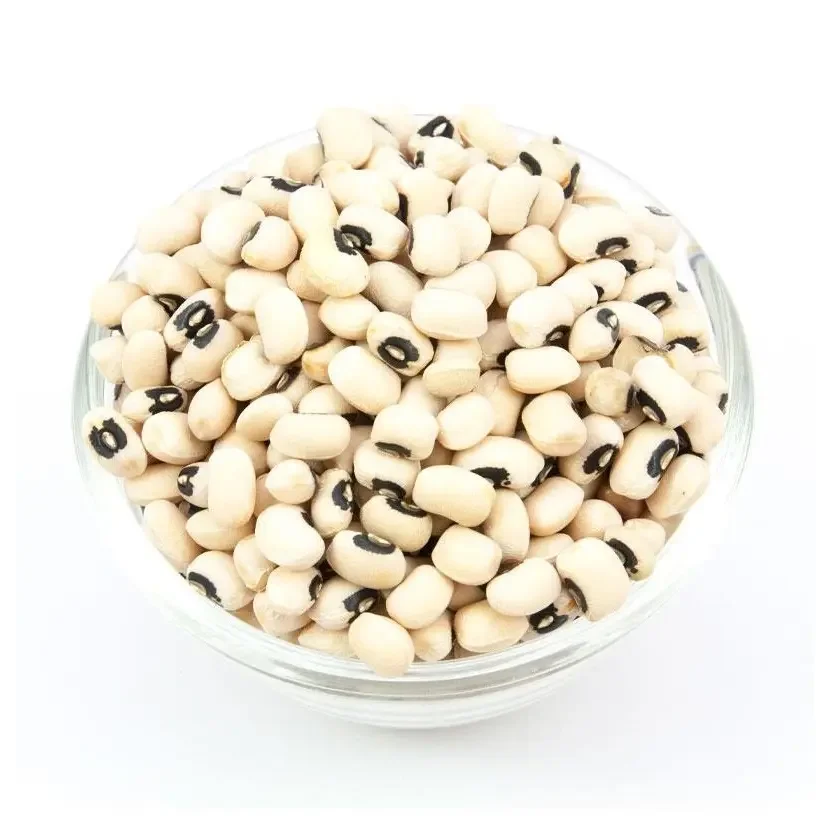Solid Natural Black Eye White Beans Cowpea Beans Organic Black Eye White Beans for Sale
